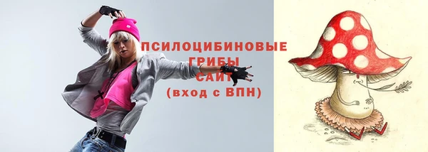 spice Лабытнанги