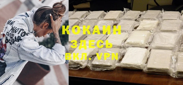 твердый Ладушкин