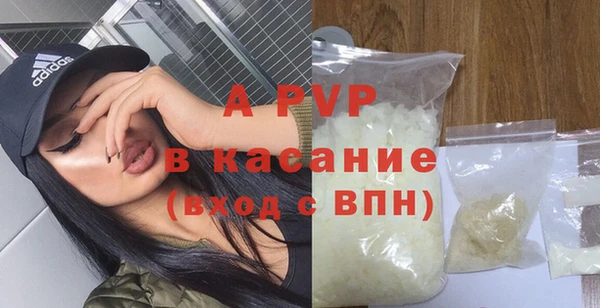 твердый Ладушкин