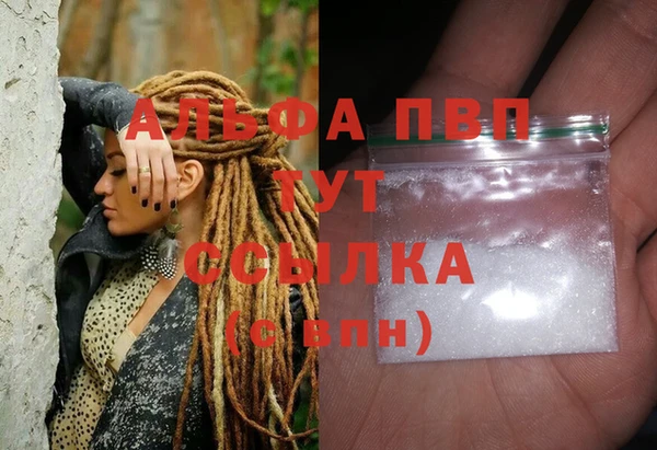 стаф Краснослободск