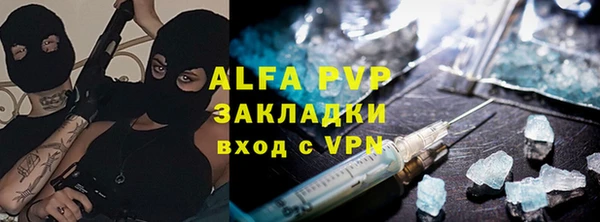 твердый Ладушкин
