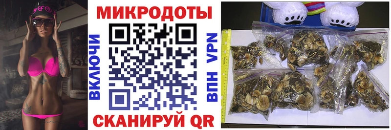 Купить  Арск  Галлюциногенные грибы Cubensis 
